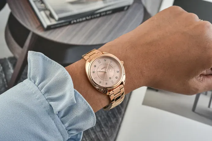 ES5070 שעון יד פוסיל לנשים | דגם רוז גולד משובץ 8 זרקונים | לוח שמפניה | מלאי מוגבל | שנתיים אחריות | ES5070 | FOSSIL Gabby Analog Watch for Women